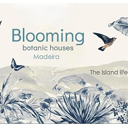 Blooming Botanic Houses Estreito Da Calheta Exteriör bild