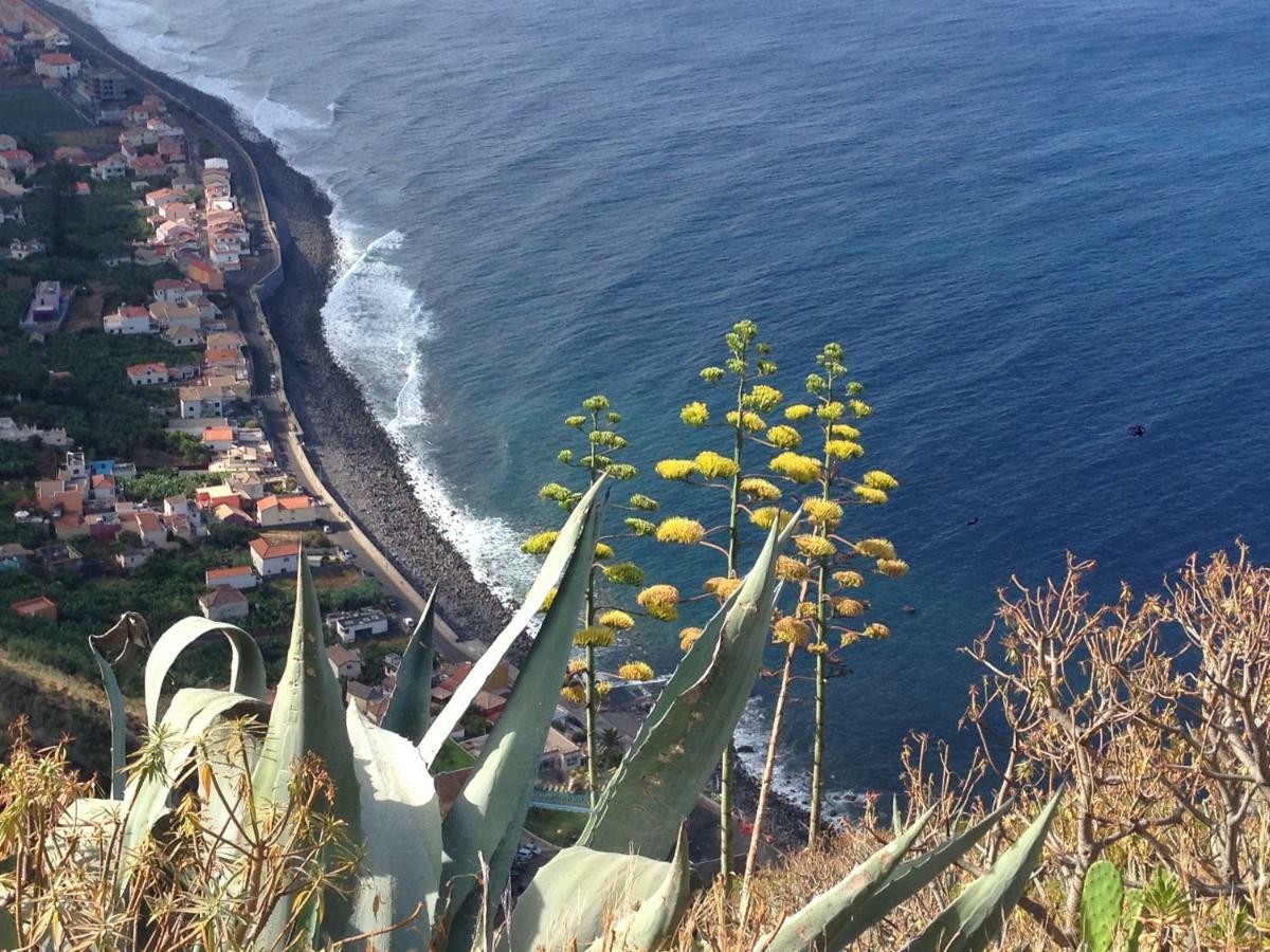 Blooming Botanic Houses Estreito Da Calheta Exteriör bild