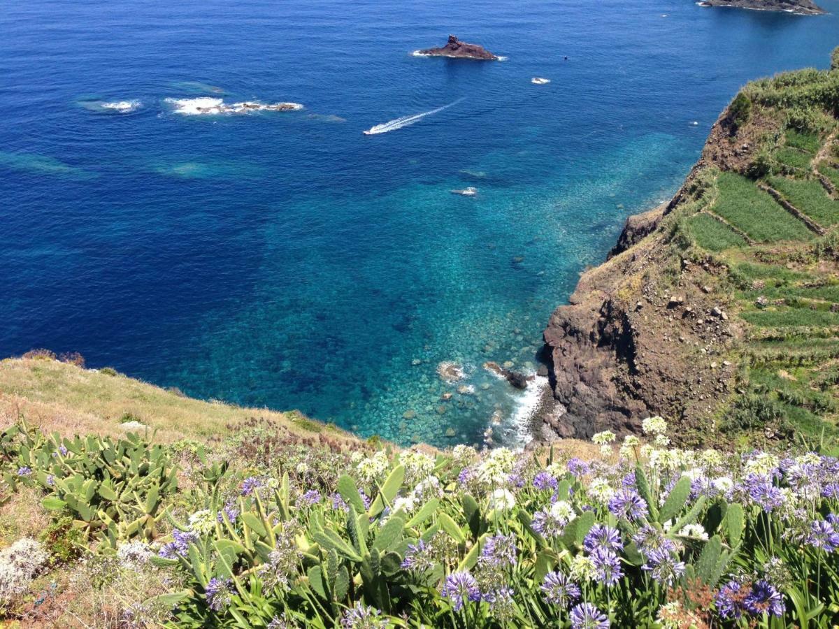Blooming Botanic Houses Estreito Da Calheta Exteriör bild