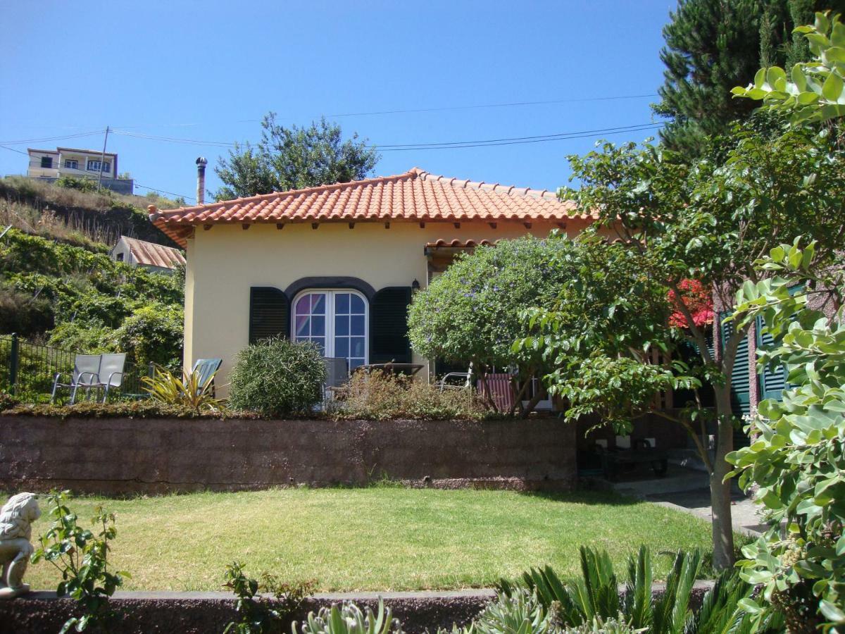 Blooming Botanic Houses Estreito Da Calheta Exteriör bild