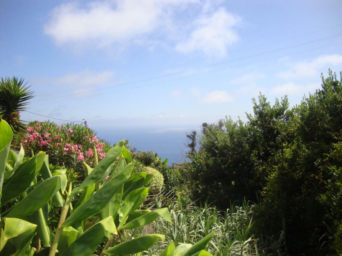 Blooming Botanic Houses Estreito Da Calheta Exteriör bild